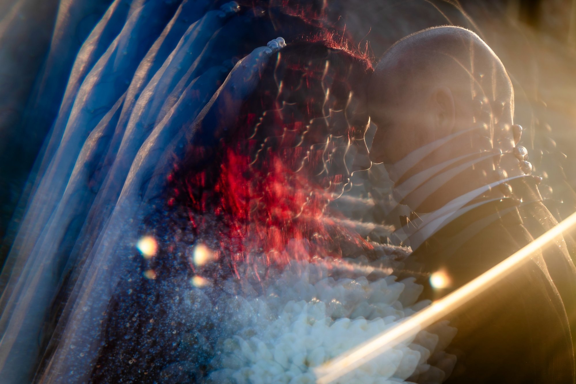 carousel-hero-element image-1